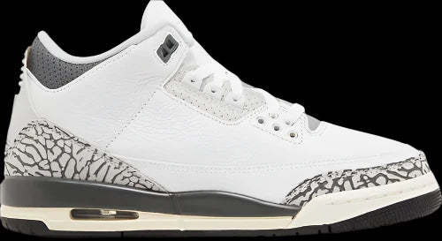 Air Jordan 3 Retro GS 'Hide N' Sneak'