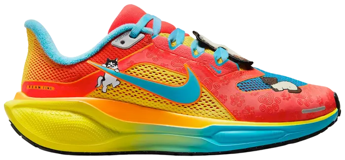 Air Zoom Pegasus 41 'Doernbecher